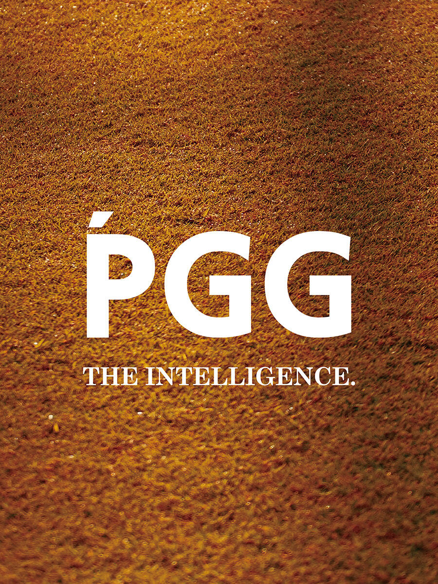 PGG THE INTELLIGENCE